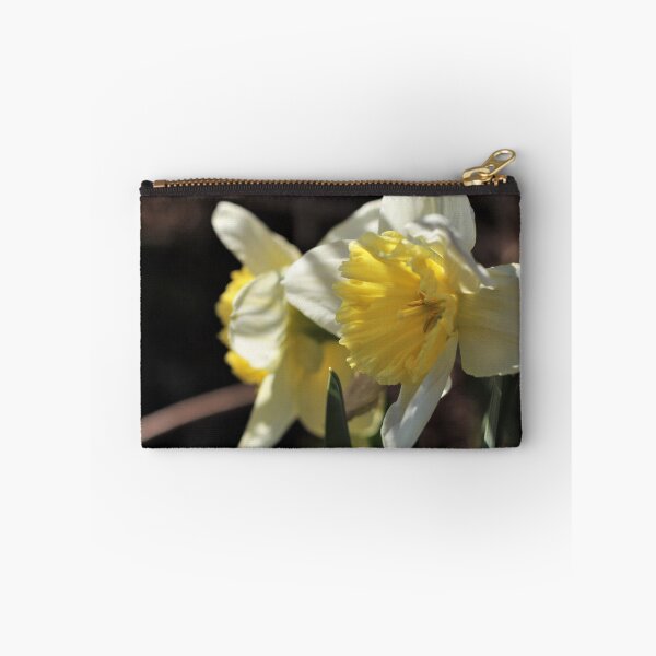 Item preview, 'Ice Follies' Daffodil designed and sold by Kathleen Daley.