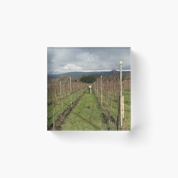 Item preview, Grape grazing, Hanging Rock Winery designed and sold by Susan Henry.