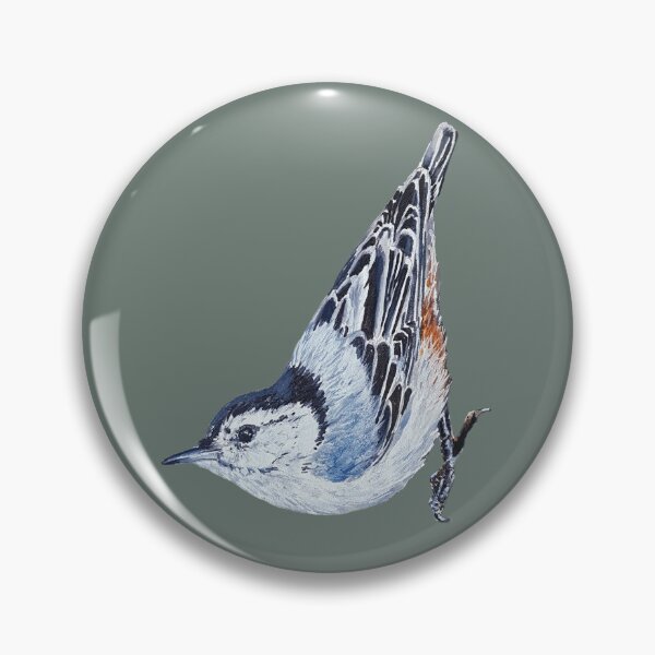 Item preview, White Breasted Nuthatch - wild bird painting (no background) designed and sold by Emily Bickell.