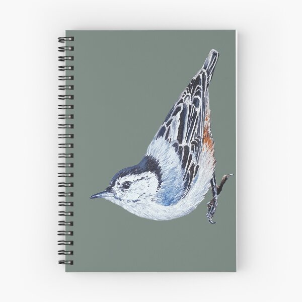 Item preview, White Breasted Nuthatch - wild bird painting (no background) designed and sold by Emily Bickell.