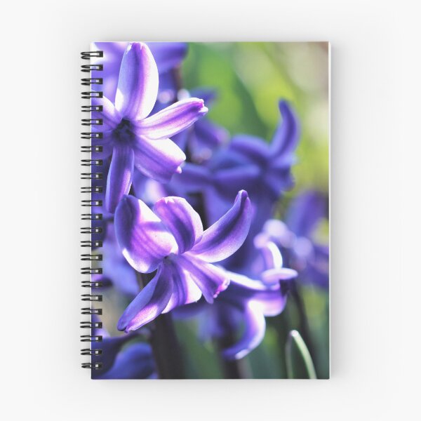 Item preview, Blue Jacket Hyacinths designed and sold by Kathleen Daley.