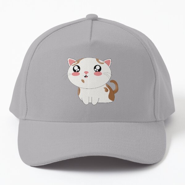 Cat is Wearing a Baseball Hat