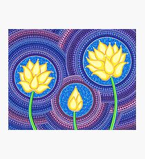 Dreamy Lotus Family Photographic Print