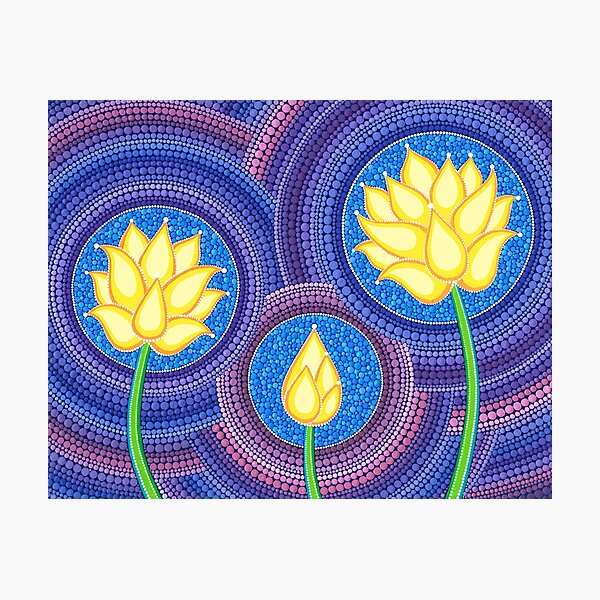 Dreamy Lotus Family Photographic Print