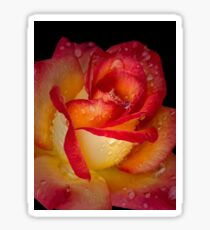 Scharlachrot und Gold Sticker