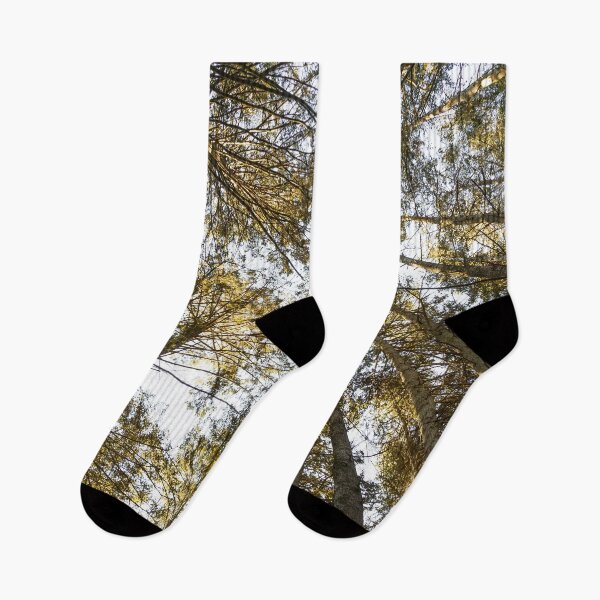 Item preview, Forest Trees designed and sold by JoshuaSmall.