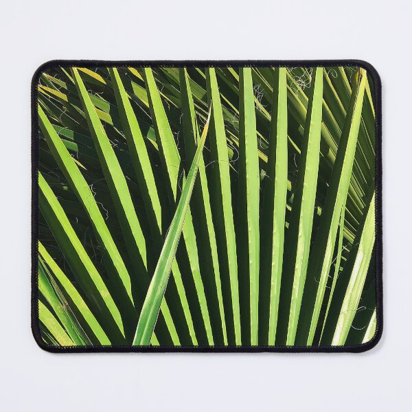 Item preview, Sophisticated Palm Leaves Modern Art Photo designed and sold by DEC02.