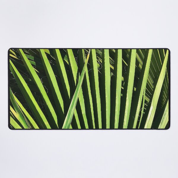 Item preview, Sophisticated Palm Leaves Modern Art Photo designed and sold by DEC02.