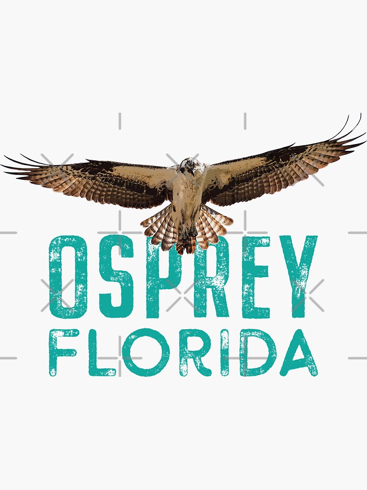 Osprey Florida Sticker for Sale by Futurebeachbum