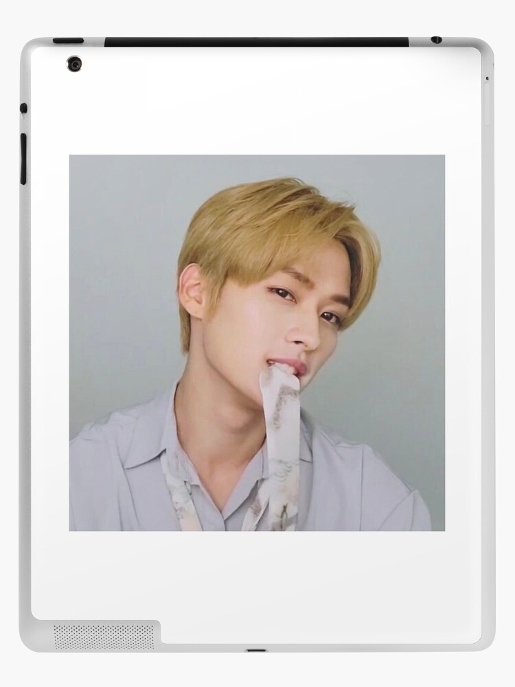 Stray Kids Lee Know iPad Case & Skin for Sale by mixtape shin