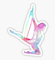 Rainbow Aerial hoop Sticker