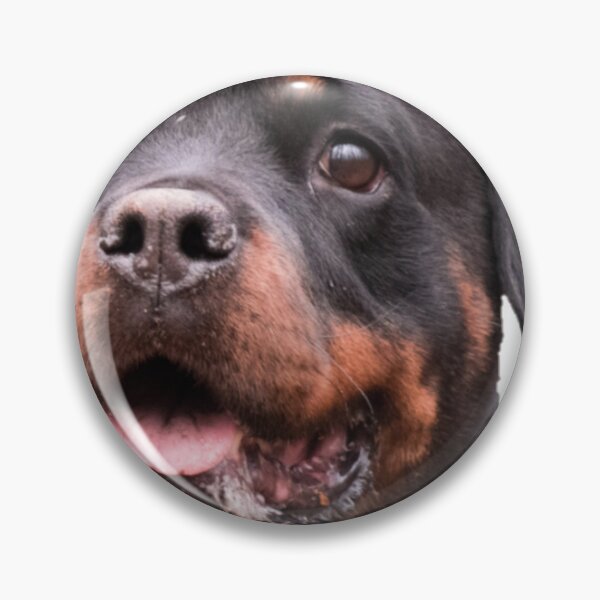 Item preview, baby Rottweiler dog , cute Rottweiler tee designed and sold by Ssimo30.