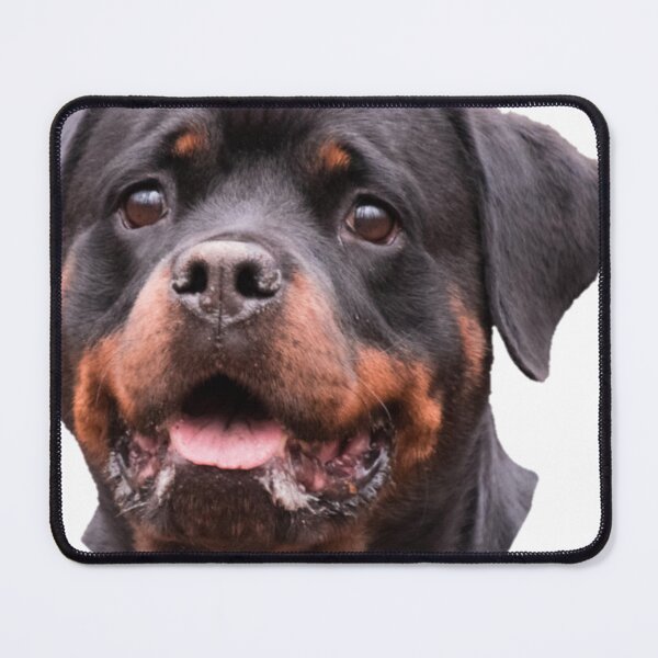 Item preview, baby Rottweiler dog , cute Rottweiler tee designed and sold by Ssimo30.