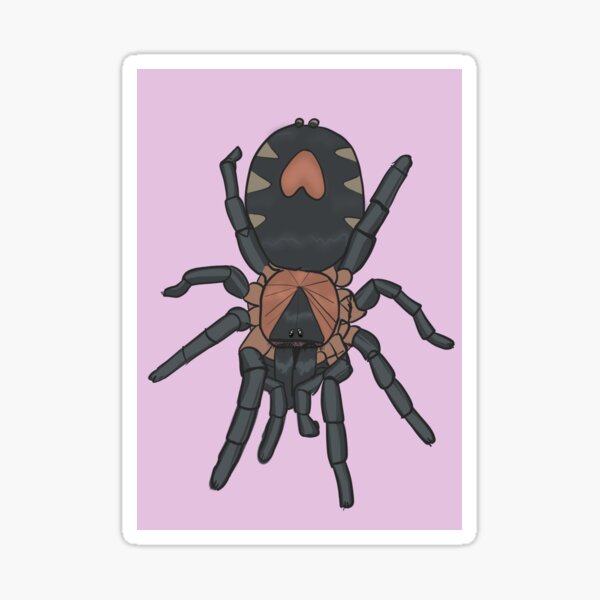 Item preview, C. Elegans (Trinidad Dwarf ) Tarantula A.k.a Heart Butt Tarantula (No Text. Pink.) designed and sold by PBoneWitch.