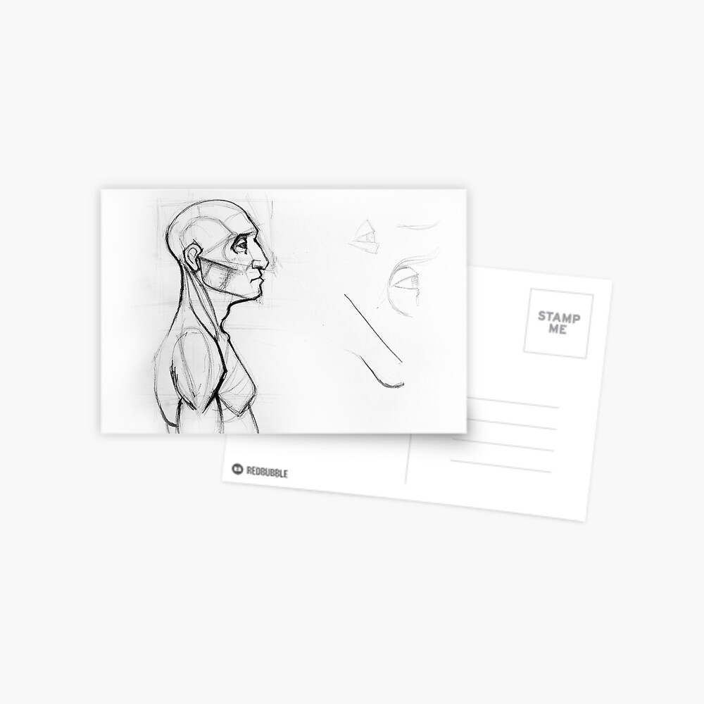 Outline Drawing Sketch Of Side Profile Of A Human Male Head And Torso Anatomy Illustration Greeting Card By Oanaunciuleanu Redbubble Once you are satisfied with the way your human figure drawing looks, you. redbubble