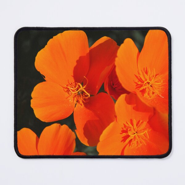 Item preview, Four by orange designed and sold by treborbob.