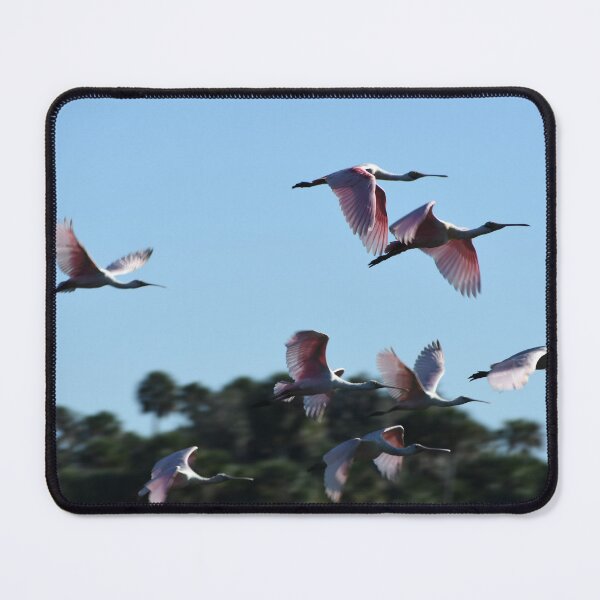 Item preview, Roseate Spoonbills in Flight  designed and sold by desdemona47.
