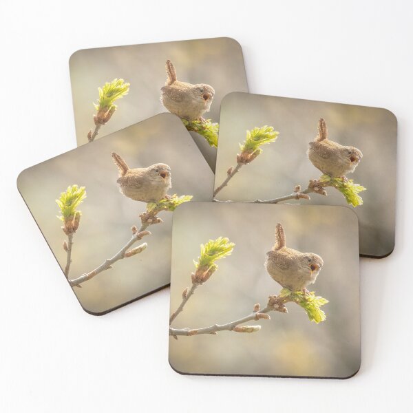 Item preview, Singing Wren designed and sold by JLP ARTWORKS.