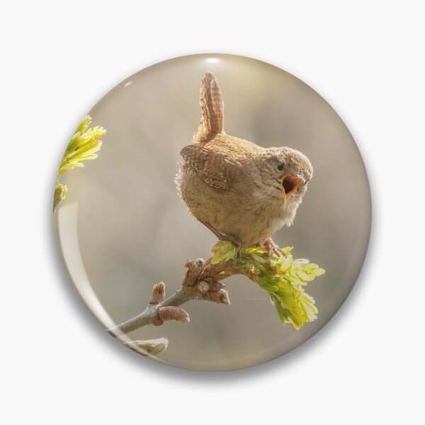 Item preview, Singing Wren designed and sold by JLP ARTWORKS.