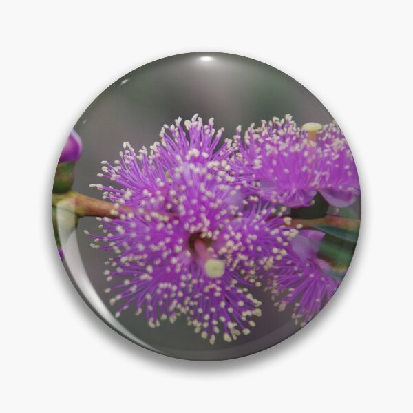 Item preview, Pink Melaleuca   designed and sold by lezvee.