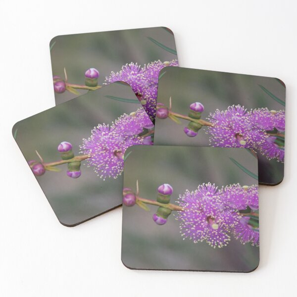 Item preview, Pink Melaleuca   designed and sold by lezvee.