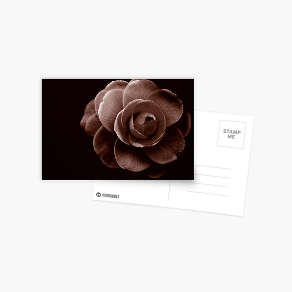 Item preview, Antique designed and sold by Globalphotos.
