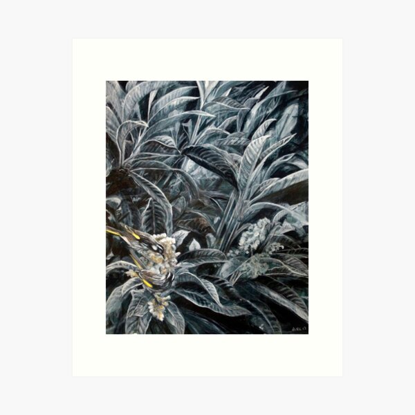 Item preview, Honey Eaters - painting by Avril Thomas - Adelaide Artist designed and sold by AvrilThomasart.