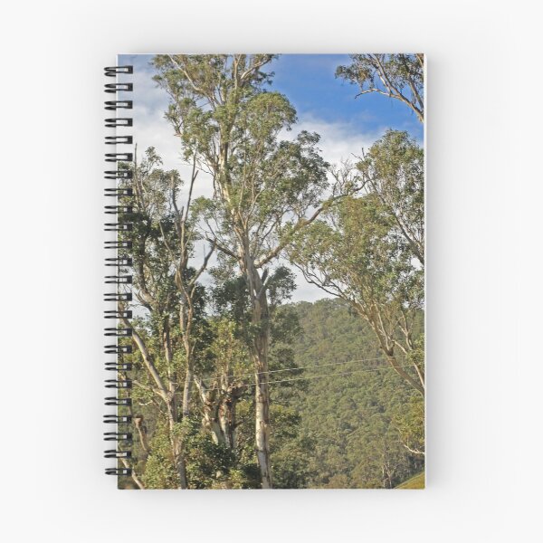 Item preview, Land designed and sold by Jodie Cooper.