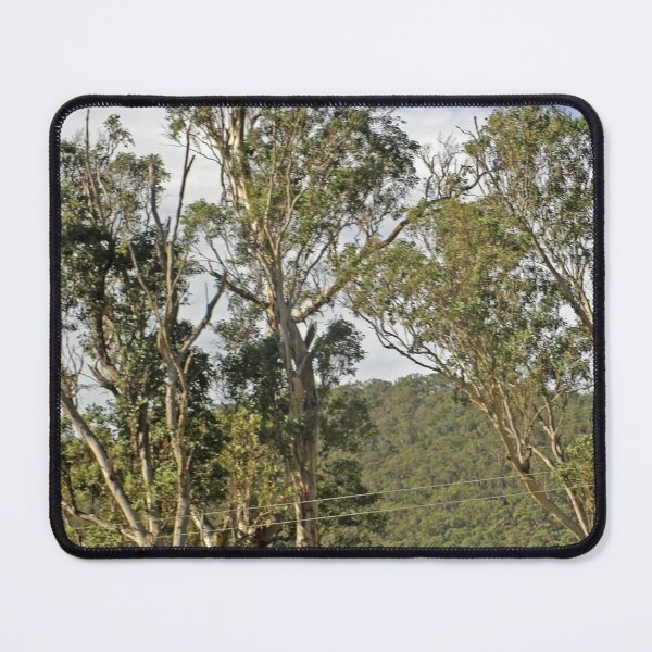 Item preview, Land designed and sold by Jodie Cooper.