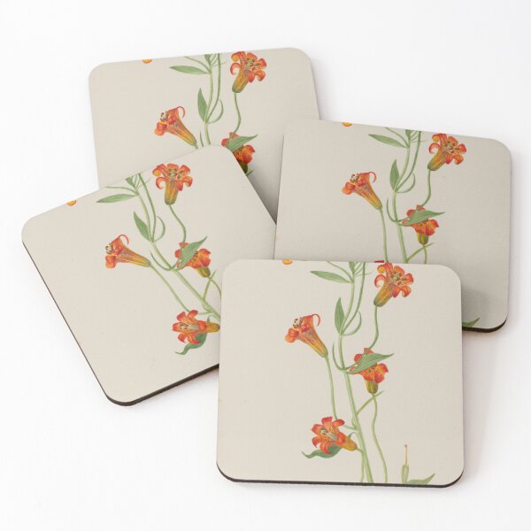 Item preview, Mary Vaux Walcott - Tigerlilly designed and sold by Bad-Wisdom.
