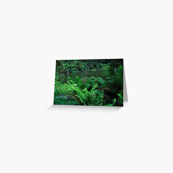 Item preview, Lake Victoria designed and sold by cannboys.
