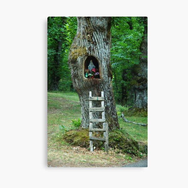 Modonna Canvas Print