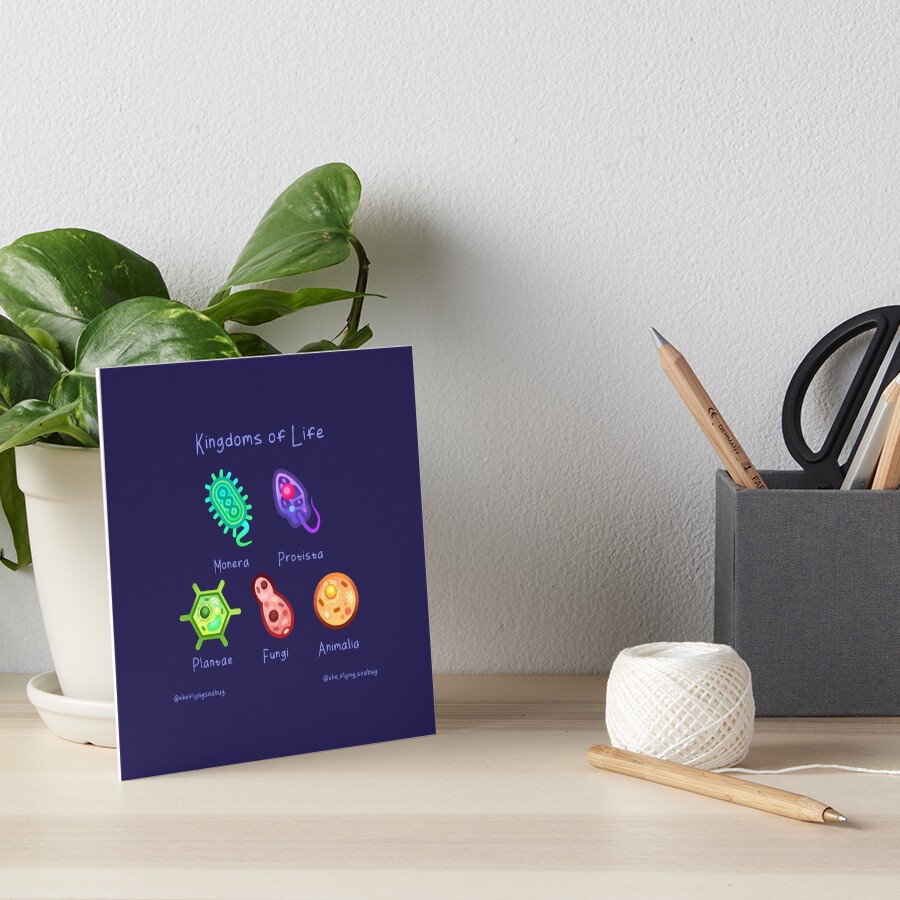 Kingdoms of Life Cells Types