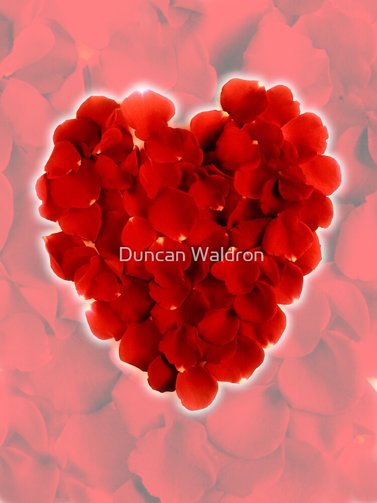 Rose petal heart 3 by DuncanW