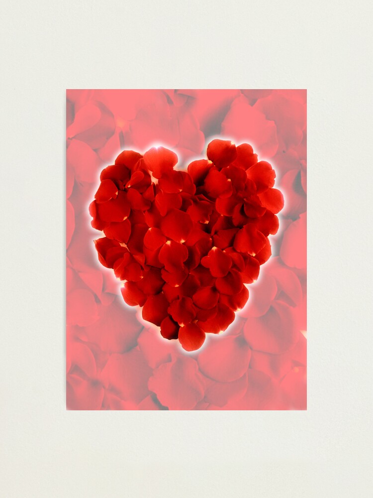 Alternate view of Rose petal heart 3 Photographic Print