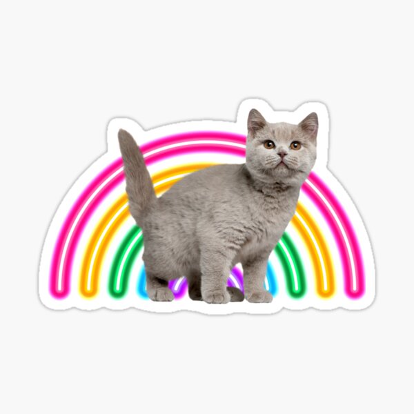 "Rainbow kitten surprise cat " Sticker by WireAndViolets Redbubble
