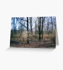 Tiergarten Greeting Card