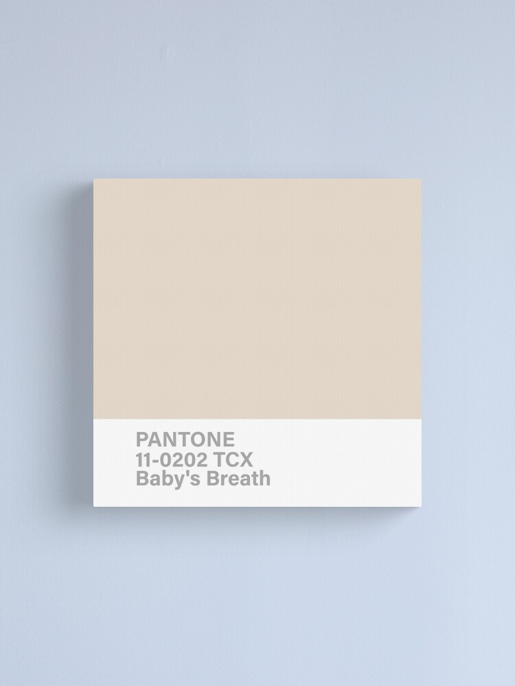 Comfort Bliss LL No Wire 1119246 Y 1121082 S:PANTONE Deep Taupe:52D