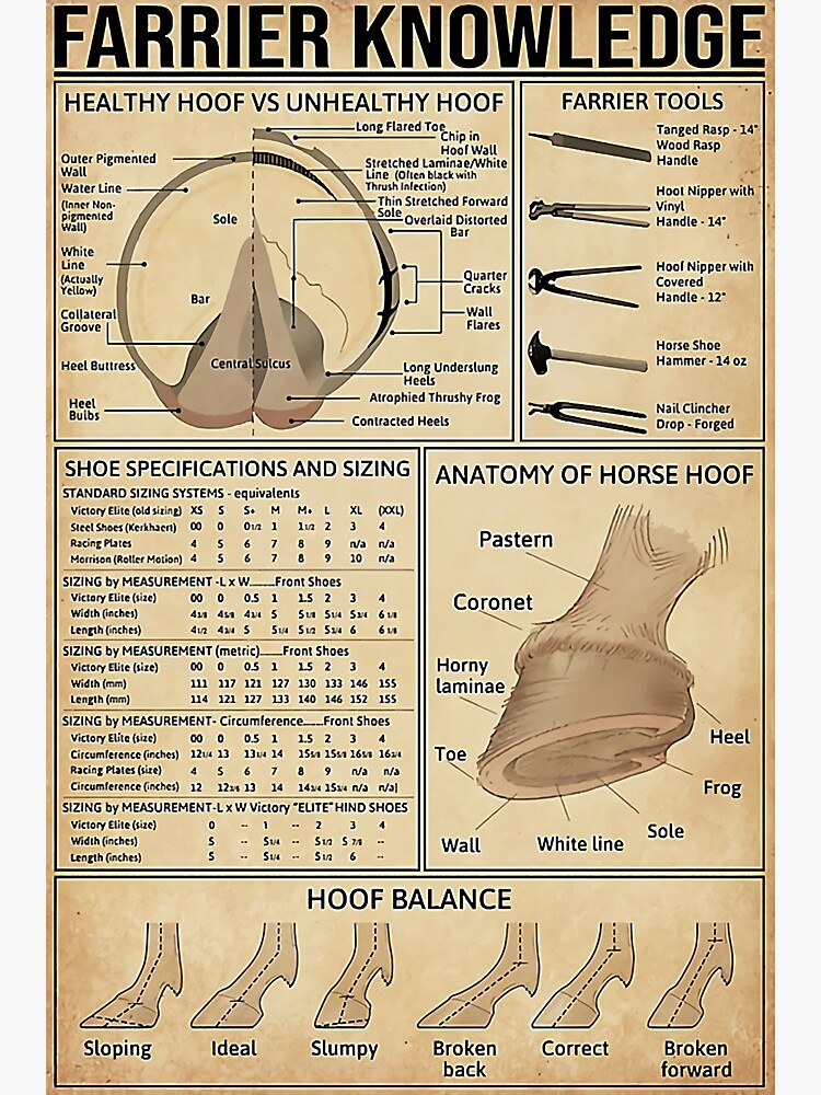 "Country Farrier Knowledge Poster" Sticker by KerenzaArianne Redbubble