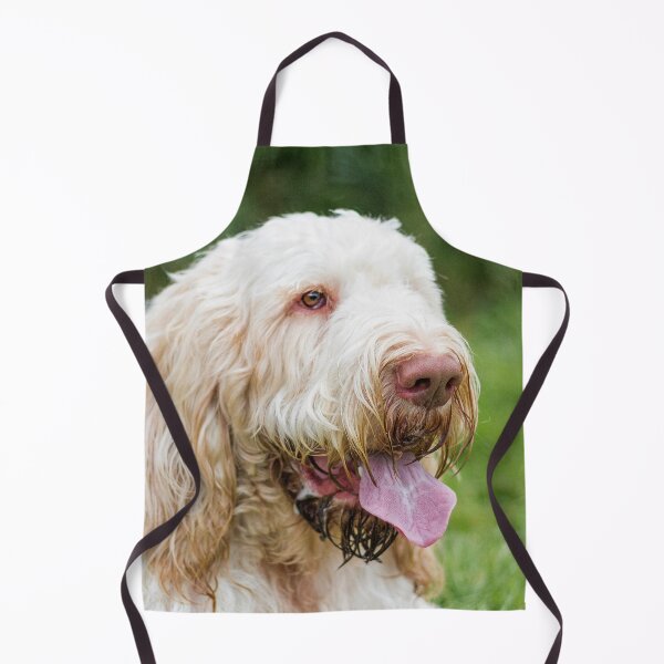 Item preview, Relax and take it easy Spinone  designed and sold by FOLK ART FUSION by heidiannemorris.