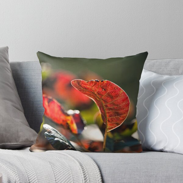 Item preview, Autumn fire designed and sold by mb-art-photo.