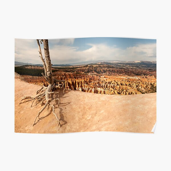Bryce Canyon Survivor Poster