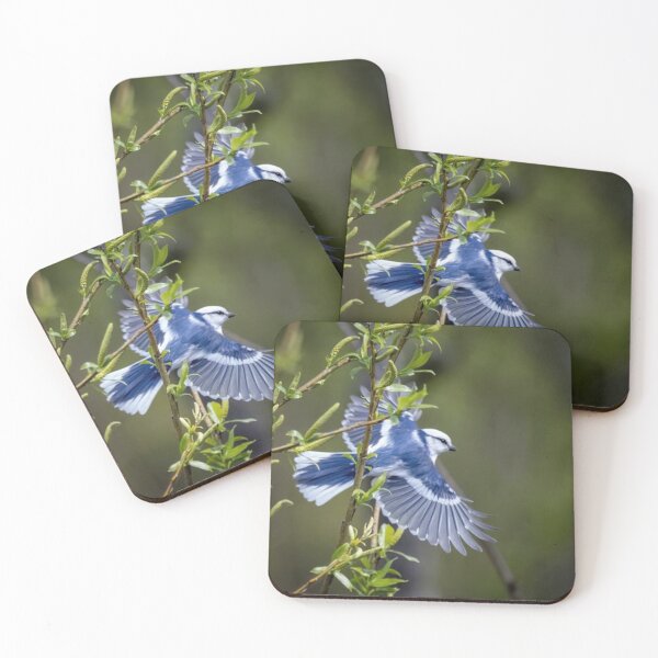 Item preview, Azure Tit designed and sold by ritusdesigns.