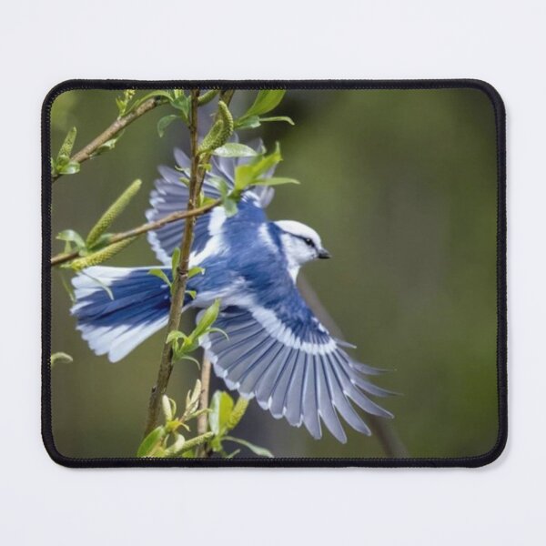 Item preview, Azure Tit designed and sold by ritusdesigns.
