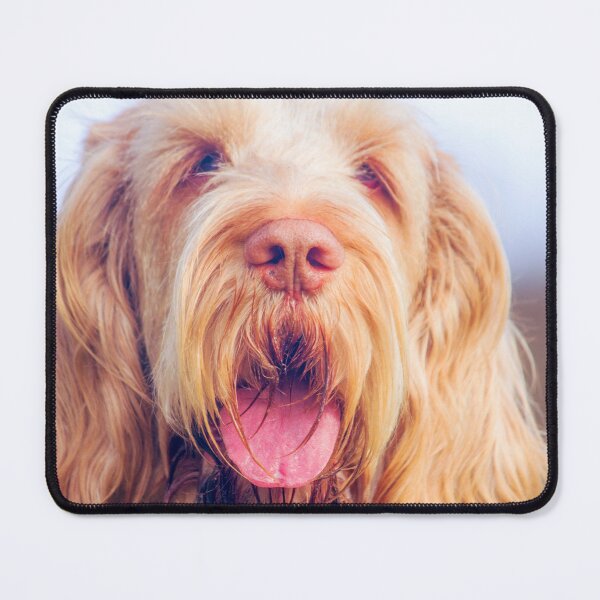 Item preview, Wavy ears Spinone by heidiannemorris © designed and sold by FOLK ART FUSION by heidiannemorris.