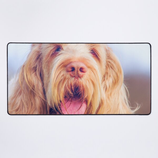 Item preview, Wavy ears Spinone by heidiannemorris © designed and sold by FOLK ART FUSION.