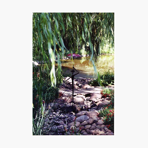 Man Under a Willow Photographic Print