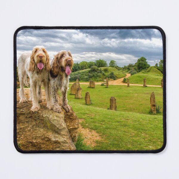 Item preview, Dogs on a Rock Spinoni by heidiannemorris designed and sold by FOLK ART FUSION by heidiannemorris.