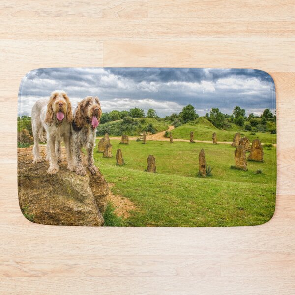 Artikelvorschau, Hunde auf einem Felsen Spinoni von heidiannemorris entworfen und verkauft von FOLK ART FUSION by heidiannemorris.