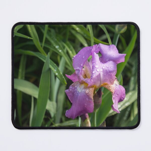 Item preview, Silky Purple Petals - Springtime Rainshower Garden designed and sold by Georgia Mizuleva.